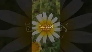 Islamic content | Islamic status | #islamicstatus #nature #shorts #viralshorts #supportme  #muslim