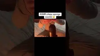 Super crispy sponge sounds #asmr #asmrsounds #crunchynoises #gibiasmr #asmrvideo #asmrcommunity