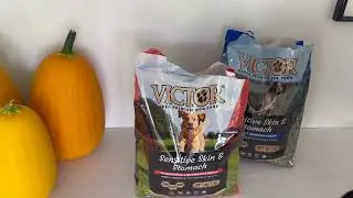 Sensitive stomach?  Scratching?  Check out VICTOR Super Premium Dog Food&mdash; Sensitive Skin and Stomach