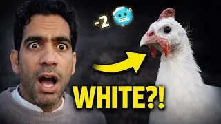 I Bought WHITE Guinea Fowls 😲 (Rare or Not?)