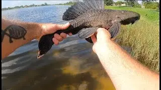 South Florida Swing #1.  Lake Mangonia
