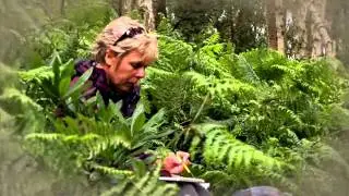Off the beaten track - Secrets of the Sandstone Trail