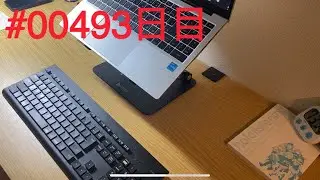 【ただ英語勉強してるだけ】careful listening and speaking 00493日目【ホロライブEN】