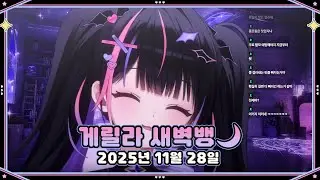 【2025.11.28】게릴라 새벽방송 🌒