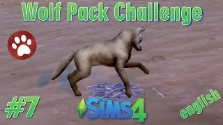 Sims 4 - Wolf Pack Challenge #7 - english - Treasure hunt at the Beach