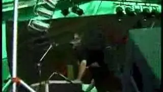 Ricaine - stagediver at The Meredith Music Festival 1996