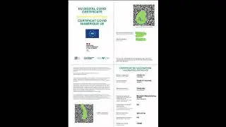 faux pass sanitaire，Pass verts COVID-19，Union europ&eacute;enne，M&eacute;thode pour fournir，Solution