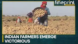 Court rejects Pepsico's appeal for patent on potato seeds | Latest World News | WION Fineprint