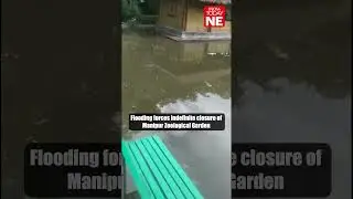 Flooding forces indefinite closure of Manipur Zoological Garden