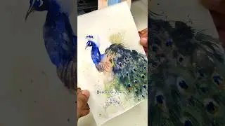 Let's paint a loose and expressive Watercolour Peacock #watercolor #painting #peacock #artshorts