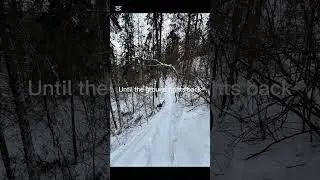 Trail running can be harder than it looks