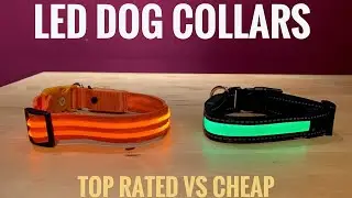 LED Dog Collars - Cheap vs Top Rated, Scoobie-Dee 39