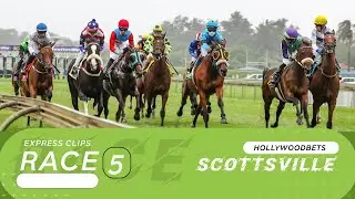 20250921 Hollywoodbets Scottsville Race 5 выиграл РОЙ ТЕЙКИНГ ОФФ