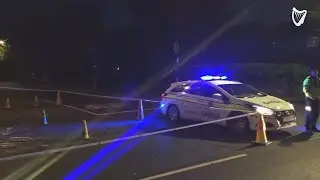 Scene of fatal stabbing in Loughlinstown