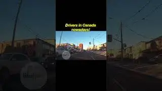 Canada is not safe anymore 😞 #Immigrants  #immigration  #Canada  #canadadrivers  #baddrivers