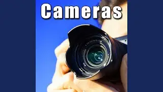 Single Shot from Compact Automatic 35mm Camera with Auto Wind