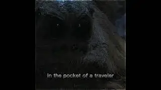 🤔 Did Newt gave Aragog to Hagrid? 🕷️🤯