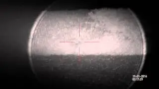 Fox Shooting with Night Vision - No.3