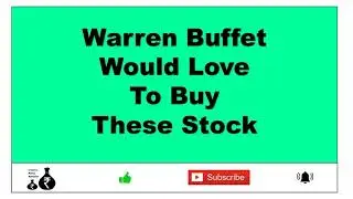 Warren buffet 's style two stocks.