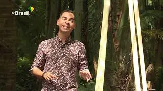 Conhe&ccedil;a a vers&aacute;til planta usada tradicionalmente no Par&aacute;: o miriti