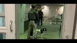 Jail Shakedown POD cast