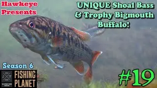 Fishing Planet #19 - S6 | Остров Голубого Краб: уникальный мелководный окунь и трофейный большеро...