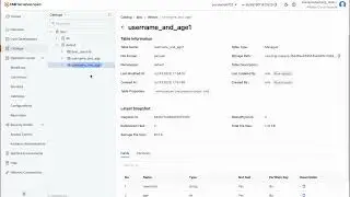 Анализ Apache Iceberg с помощью Spark SQL и PySpark с использованием DataWorks Notebook