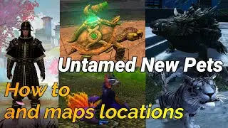 New Ranger (untamed) Pets Cantha Map locations Guide with timestamps