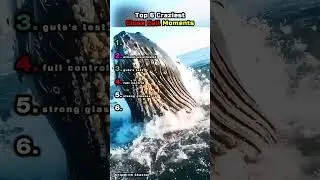 Ranking Top 6 Craziest Close Call Moments