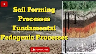 Soil Forming process/Pedogenic processes : Fundamentals pedogenic processes#soilscience #agriculture