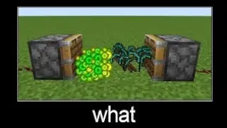 WAIT WHAT Minecraft