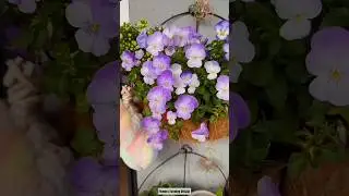 Mind-blowing Basket Flower Arrangement 🤯💫 #basket #flower #decor #asmr #plants
