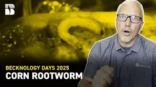 Corn Rootworm Update | 2025 Becknology Days