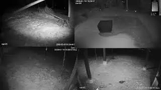 Live Nature Cams
