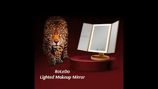 Makeup Mirror $30 - Best Makeup Mirror with Lights 2022 Lighted Mirror Amazon Review Leopard Print