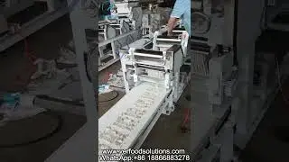 VERFOODSOLUTIONS Noodle Machine with Cutting Part