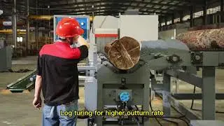 Rip Saw Sawmill Line, Multi Rip Saw Line, Woodworking Saw Line, Automatic sawmill line for 450mm log