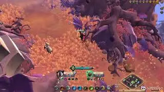 20251025 1v2 Skystrider