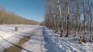 Hermitage Park Winter Run
