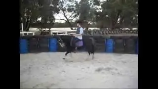 Casey and Molly the Australian Pony