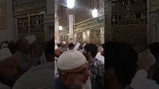 Roza Rasool#madinah #viral  #trending #shorts #ytshorts #short
