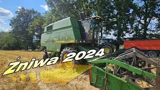 ŻNIWA 2024 - zaczynamy od zniszczonego orkiszu i żyta.