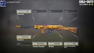 CODM | THE TYPE 63 IS INCREDIBLE 🔥