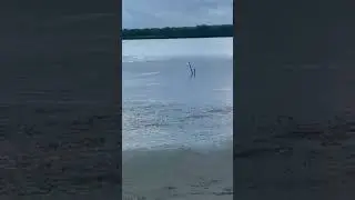 Video of Anastasia State Park Campground, FL from Chloe S.