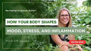 The Gut&ndash;Brain Axis: Why Depression Is a Biological Survival State (Part 1)