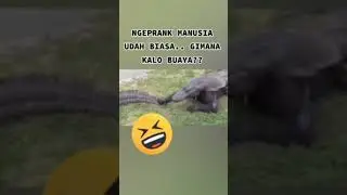 emang agak lain Ngprank Buaya🔥#prank #komedi #buaya #predator #sungai #rawa #jail #viral #fyp #shots