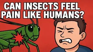 Can Insects Feel Pain Like Humans?