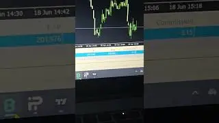 FIRST TRADE ON SLF #forex