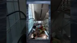 Escalator Fails- Try not to laugh #funnyvideo #funny #shortsfeed