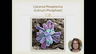Calcarea phosphorica (Calc phos)